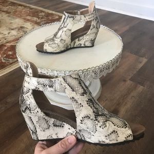 Snakeskin shoes